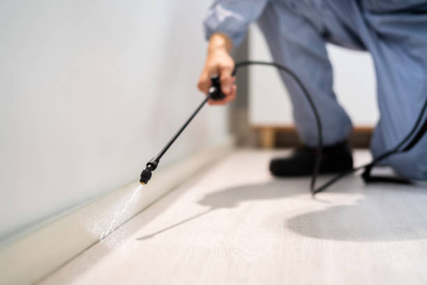 Licensed Termite Control service in Hastings, PA - Nex Pest Control