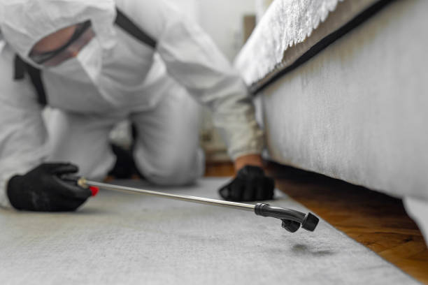 Professional Termite Control technician working in Hastings, PA