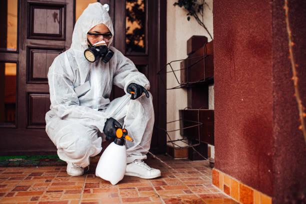 Reliable Termite Control contractor in Hastings, PA by Nex Pest Control
