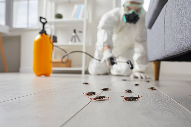 Trusted Cockroach Control service in Hastings, PA - Nex Pest Control