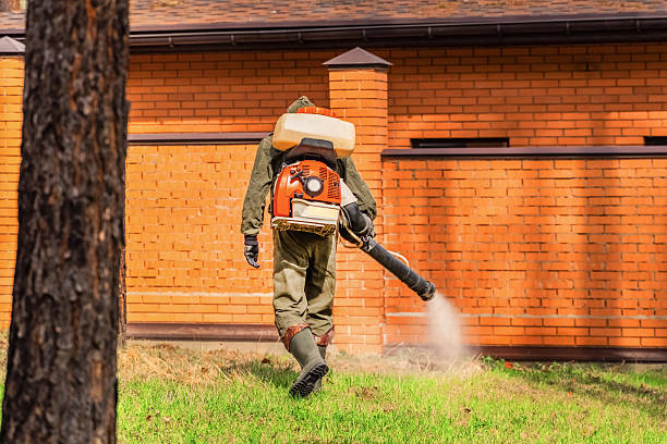 Trusted Termite Control service in Hastings, PA - Nex Pest Control